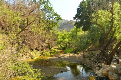 DSC_6450 (Large).JPG